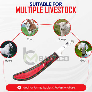 Cuchillo para Pezuñas Estrecho para Zurdos, Diseño Nuevo, Profesional, Precio Bajo al por Mayor - Product Image 2
