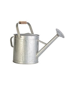 <b>Vintage</b> style metal <b>watering</b> <b>can</b> for indoor outdoor gardening durable steel body ergonomic handle long spout precise control - Product Image 4