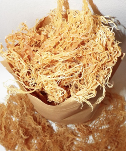 Healthy SEA <b>MOSS</b> <b>Dried</b> Seasoned Made From Natural Ingredients Without Colorants Viet Delta by Ms. Thao Products in Viet Nam - Product Image 4