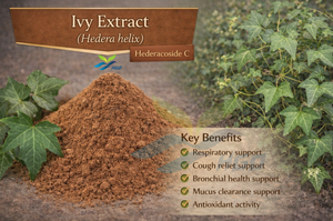 Suministro Directo de Fábrica HGO de Extracto Puro de Hiedra Natural, Especificación de Grado Alimenticio, Hederacoside C 5%, Extracto Estandarizado - Product Image 5