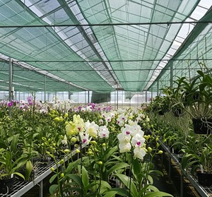 Orchid Net Green Shade Net <b>Plastic</b> <b>Mesh</b> Screen Sun Block Ventilation Net for Greenhouse - Product Image 1