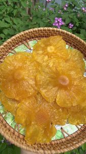 Rodajas de Piña Seca de Vietnam |   Snack Tropical Dulce Natural |   Suministro al por Mayor y Exportación Directa de Fábrica - Sra. Tarina - Product Image 3