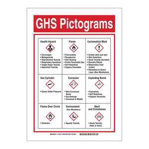 Pictogramme GHS en PVC durable Brady pour les signes de danger chimique en laboratoire - Product Image 3