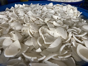 Premium Quality Phalco Desiccated Coconut Powder Low High Fat Dried Preserved <b>Sweet</b> Taste Max 3% Moisture Kraft Paper Packaging - Product Image 5