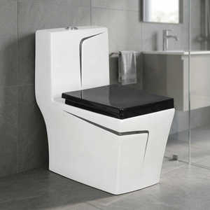 Vistaar Dual Flush S <b>Trap</b> One Piece Water Closet Toilet - Luxury Modern Bathroom Sanitary Ware Wholesale Price - Product Image 4