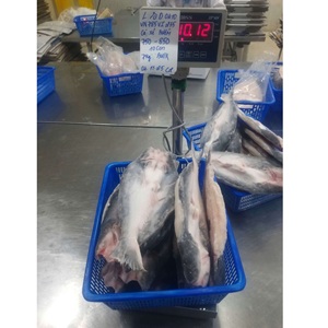 Filet de Pangasius Congelé VH Food, Faible en Glucides, Couleur Naturelle, Qualité Export Vietnam IQF, Tailles 20-35, Style Papillon, Avec Peau/Sans Peau - Product Image 2