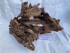 Best Natural Driftwood & Stainless Steel Aquarium Decoration Irregular Shape Circular Durable Fish Tank Ornament Made in Vietnam - Product Image 5
