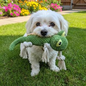 Yommy Furry Friends Jouet en peluche pour chien de 32 cm, PeluRopes, jouet interactif avec corde durable pour le mouvement et l'exercice de l'animal de compagnie - Product Image 4