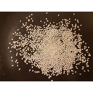 Food Grade Hulled Sesame Seeds 99.98% Purity Natural White Export Quality Sesame Seeds Bulk <b>Packaging</b> - Product Image 4