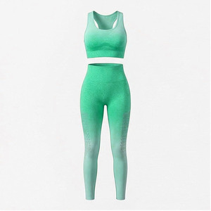 Ensemble de leggings de yoga 2 pièces pour femmes, taille haute, sans couture, vêtements de fitness, haute élasticité, respirant, vêtements de sport personnalisés - Product Image 2