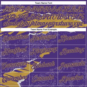 Sudadera con Capucha Personalizada para Hombre, Mujer y Jóvenes, Uniforme Deportivo Personalizado con Nombre, Logotipo y Número Bordados - Product Image 1