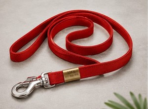 High Quality Dog <b>Collar</b> for Walking Training Outdoor Activities Nylon Material and Metal Fittings At Best Price By Exporter - Product Image 2