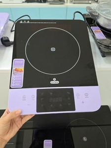 Cuisinière à induction portable étanche 2200W à brûleur unique avec plaque céramique robuste, 8 niveaux, pour usage extérieur et domestique - Vente en gros - Product Image 3