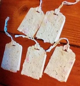 Plantable Gift Tags with for Corporate Branding and Gifts Boutique Hang Tags for Clothing and Accessories edding and Event Favor - Product Image 1