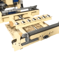 Nouveau module de chaîne de convoyeur de tri de palettes ASRS, plateforme élévatrice robuste, revêtement poudré A6061/SS41/S45C 0.37kW/0.75kW pour entrepôt