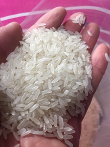ข้าวหอมมะลิคุณภาพพรีเมียม (เวียดนาม) # โรงสีข้าว 1 แห่ง) 25/8/2026 11:11 น. - Product Image 1