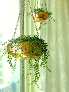 Ensemble de jardinières suspendues en or poli style vintage, idéal pour les plantes d'intérieur, le balcon et la décoration murale de maisons de luxe, provenant d'Inde. - Product Image 3