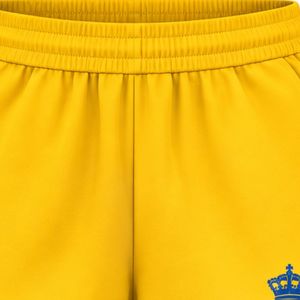 Shorts Deportivos Amarillos para Mujer Sigma Gamma Rho, Shorts para Correr, Gimnasio, Entrenamiento, Deportes, Ropa Deportiva Personalizada - Product Image 5