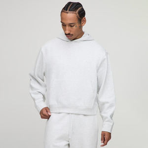 Sweat à capuche unisexe personnalisé en coton épais et écologique pour l'automne, style streetwear, pour fournisseur de graphiques en gros - Product Image 1