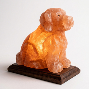 Lampe en sel de l'Himalaya sculptée pour chien, best-seller, avec base en bois, par un fabricant professionnel - Product Image 6