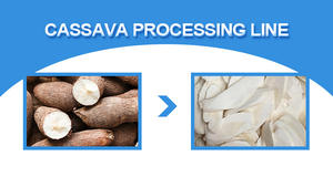 Planta de procesamiento de yuca Máquina rebanadora peladora de yuca - Product Image 6