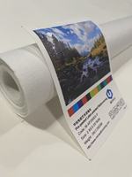 Rouleau de papier peint non tissé blanc imprimable, gaufré, imperméable et ignifuge, matériau de revêtement mural pour impression au latex / UV / éco-solvant