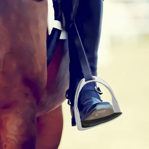 Estribos de Seguridad de Aluminio para Montar a Caballo, Estribos Ecuestres Antideslizantes con Protección para el Tobillo, Premium para Arena y Equitación Veterinaria - Product Image 5