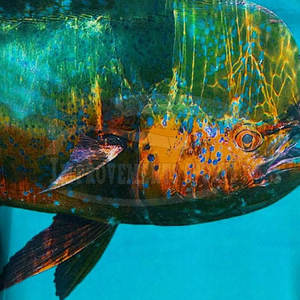 Nueva llegada manga larga sublimación pesca Jersey logotipo personalizado sublimación pesca Jersey - Product Image 6