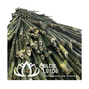เสาไม้ไผ่ดิบแบบยั่งยืนขายดีที่สุด สำหรับโครงสร้างพยุงพืชผล - Product Image 1