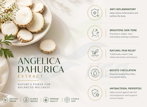 Suministro directo de fábrica HGO de extracto de Angelica Dahurica natural puro (grado alimenticio) Especificación 10:1 (extracto de proporción) - Product Image 2
