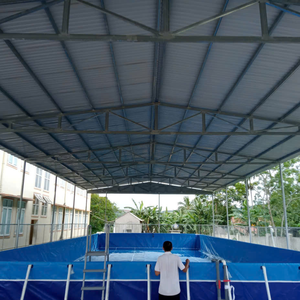 Piscina Inflable Portátil de PVC de Alta Calidad y Duradera con Escalera, Fácil de Instalar, Cubierta Personalizable para Uso en Interiores y Exteriores - Product Image 3