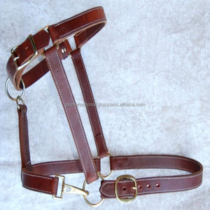 Accessoires de cheval en gros de qualité supérieure licou de cheval en cuir véritable dans toutes les tailles personnalisées et raccords en laiton réglables - Product Image 5