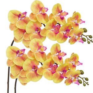 THAF-009 Tiges d'orchidées artificielles de haute qualité, fleurs de Phalaenopsis en latex réalistes pour la décoration intérieure moderne - Product Image 1