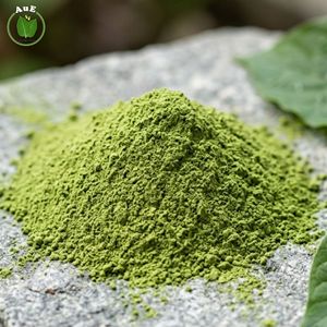 Selección Premium Favorita de los Clientes de AuE, Polvo de Hoja Herbal Tailandesa MIT con Pureza del 1.5%, 120 Mesh, Secado al Aire Caliente, Envasado al Vacío - Product Image 4