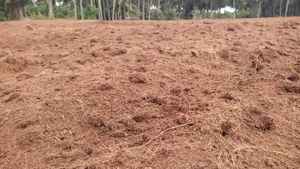 Bloque de Coco Lavado MDS 650g |   Medio de Cultivo Ecológico Biodegradable de Fibra de Coco para Jardinería y Horticultura - Product Image 5