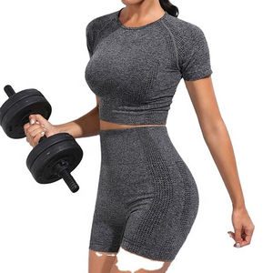 Conjunto Deportivo Seamless para Mujer, con Logotipo Personalizado OEM, Transpirable, de Secado Rápido, para Yoga, Cintura Elástica, Estiramiento en Cuatro Direcciones - Product Image 4