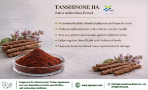 HGO Factory Direct Supply Extrait de salvia miltiorrhiza naturel pur (qualité alimentaire santé) Spécification Tanshinone IIA 1% - Product Image 2