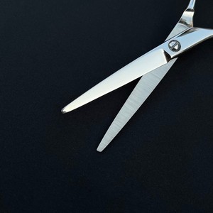 Ciseaux de coiffure professionnels en acier inoxydable argenté de 5,5 pouces, lame droite pour gaucher, plaqués titane, pour salon de beauté - Product Image 5