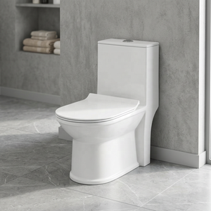 Inodoro de Cerámica de Una Pieza con Doble Descarga, Diseño Moderno para Baño y Uso Exterior, Precio Económico para el Mercado Saudí - Product Image 5