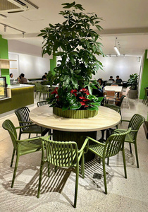 Sillas de Plástico Multiusos para Escuelas, Cafeterías y Salas de Espera con Respaldo Ergonómico - Product Image 6