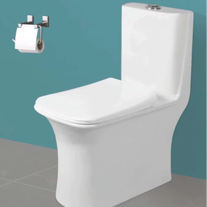 Inodoro de una pieza con tamaño de 735x350x665 mm, con sifón en S de 225 mm, con un increíble sistema de descarga sifónica de doble flujo con 2D - Product Image 1