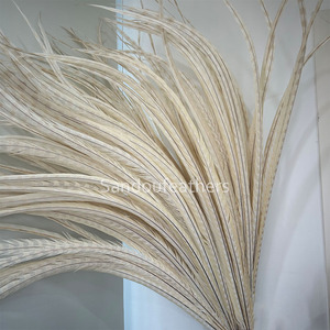 Plumas de Faisán Reeves Blancas de 140 cm de Largo al por Mayor para Disfraces de Samba, Decoración de Carnaval, Espectáculos y Tocados - Product Image 3