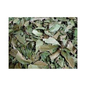 Hojas Secas de Neem Orgánico de Alta Pureza, Material Vegetal Herbal de Azadirachta Indica para la Fabricación de Extractos Vegetales y el Cuidado de la Salud - Product Image 4
