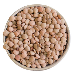 Lentejas Marrones Premium Golden Harvest, Legumbres Secas de Sabor Intenso, Paquetes Clasificados para Importadores Internacionales y Proveedores de Alimentos - Product Image 2