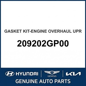 แกรนด์เออร์/อาเซร่า ปะเก็นและซีลใหม่ 209202GP00 - Product Image 1