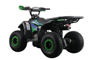 รถเอทีวีไฟฟ้าแบบสปอร์ต DIY คุณภาพสูง ขับขี่สบาย กำลังไฟ 4000 วัตต์ แบตเตอรี่ตะกั่วกรด 32 แอมป์ชั่วโมง พร้อมตัวเลือกแบตเตอรี่ลิเธียม รับประกัน 3 ปี พร้อมที่จับพลาสติก - Product Image 2