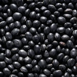Frijoles Pinto Rojos Orgánicos Secos con Motas Claras, Grado A, de Tanzania, Empaque a Granel, Marca CREKS, 2 Años de Vida Útil - Product Image 5