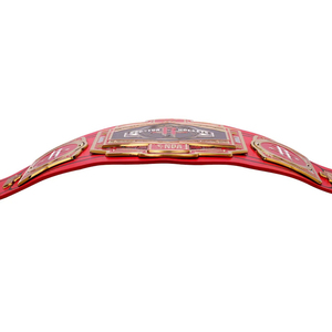 Ceinture de lutte la plus vendue, plaques personnalisées de qualité supérieure, vente en gros, design de couleur unique - Product Image 3