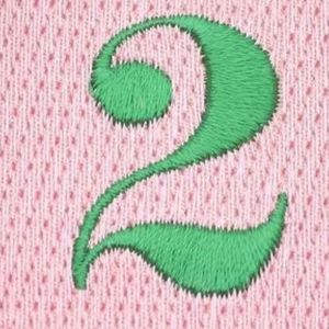 Pretty Girl Number 2 Patch <b>Pink</b> & Green Embroidered Number Applique Iron On Sew On Badge for Jackets Bags Hats DIY - Product Image 6