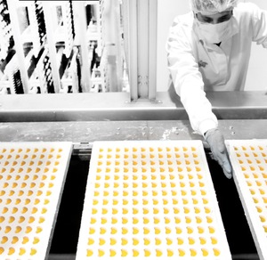 Machine de traitement de bonbons à la gelée multivitamines ligne de moulage de gommes à mâcher - Product Image 3